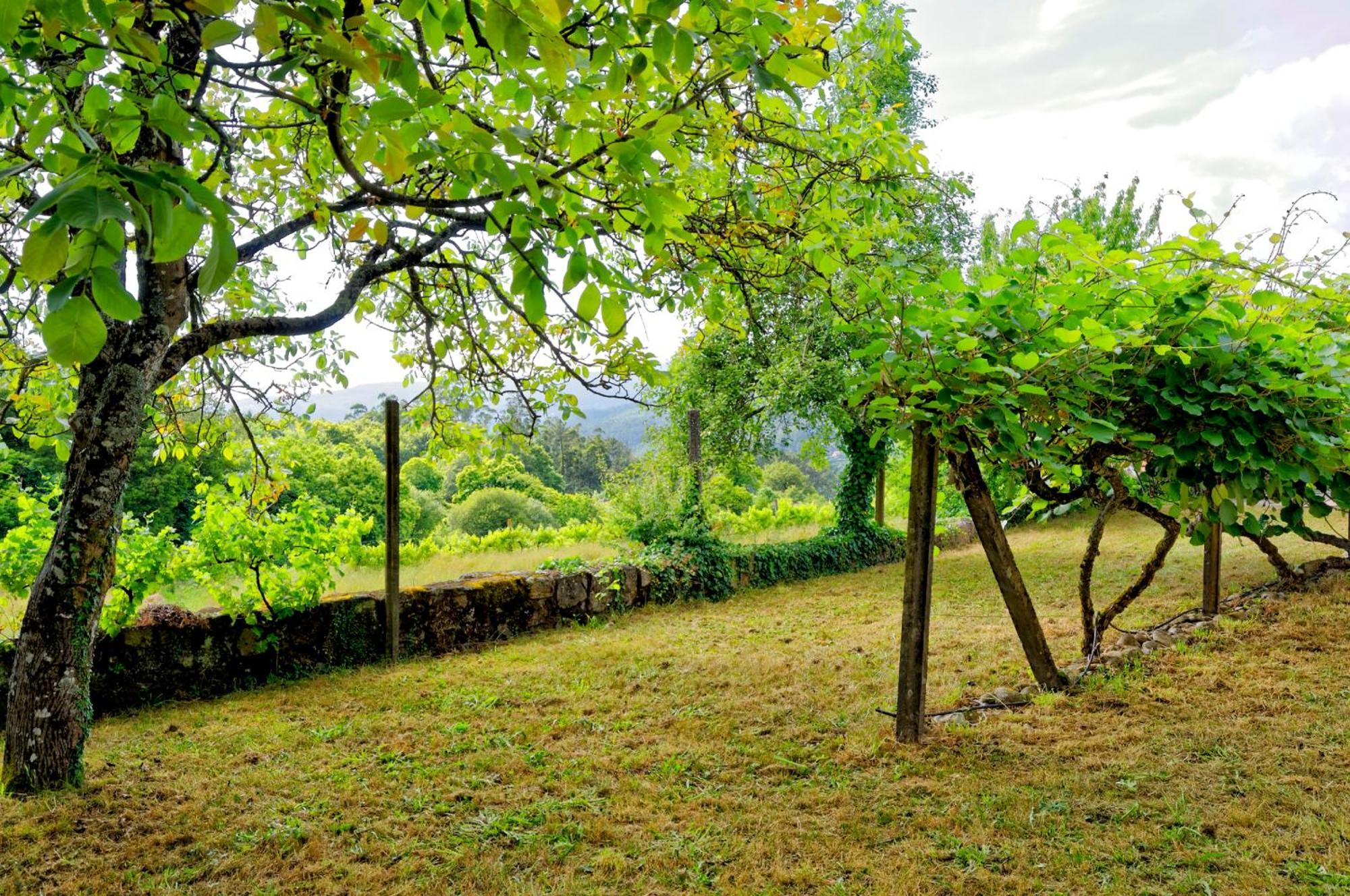 Zen Vouga Villa Ribeiradio Exterior photo