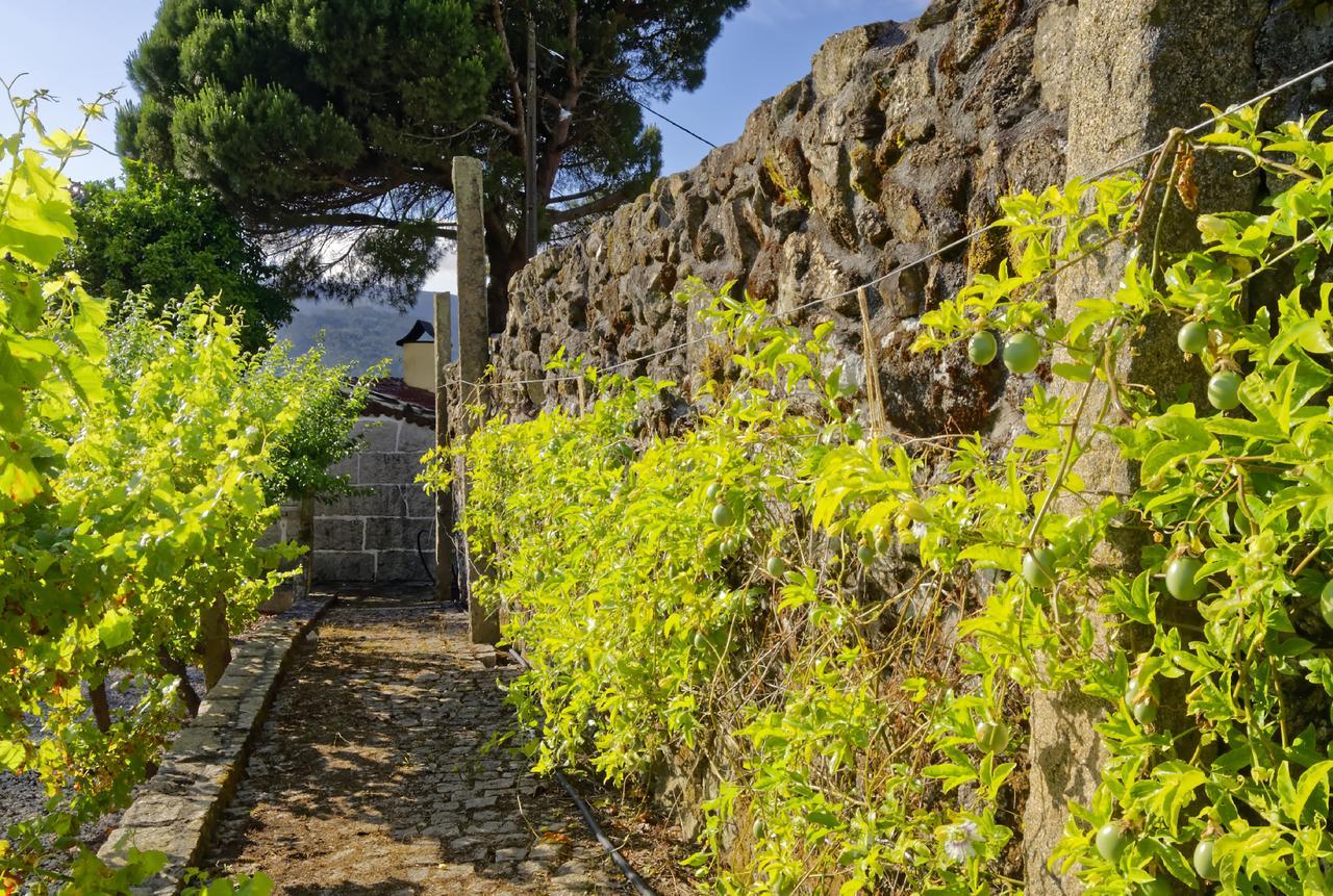 Zen Vouga Villa Ribeiradio Exterior photo